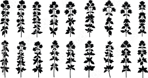 Mega collection of vector silhouettes featuring masquerade masks nesting dolls Halloween icons children playing family moments and floral botanical garden elements