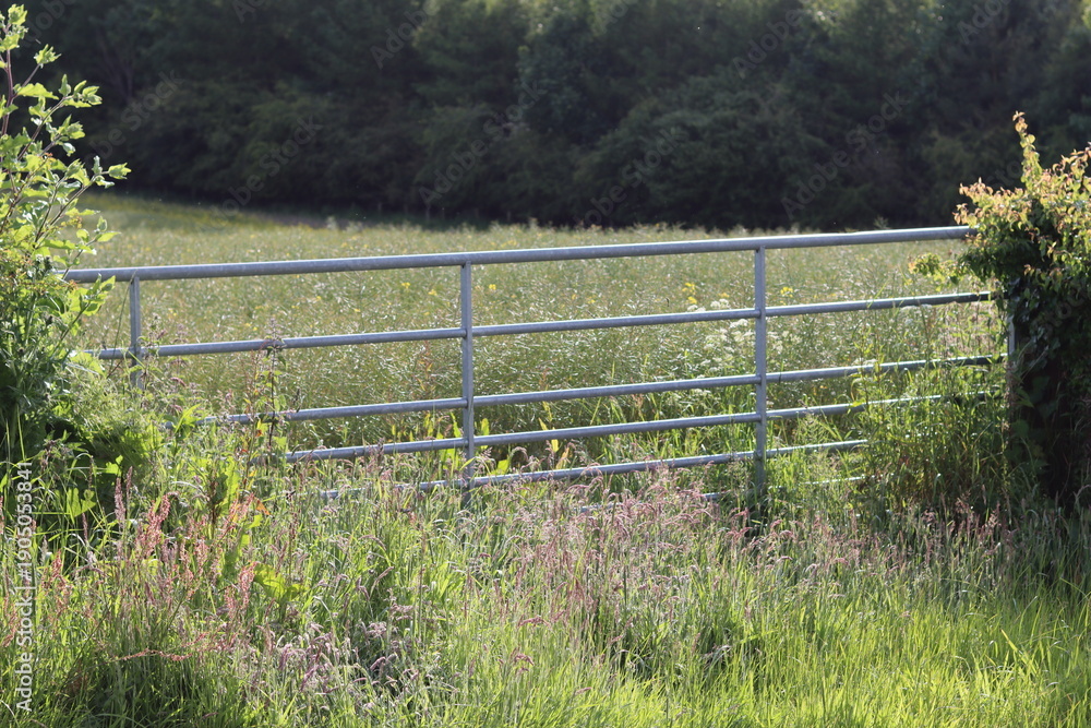Fototapeta premium Gate across a countryside field in summer