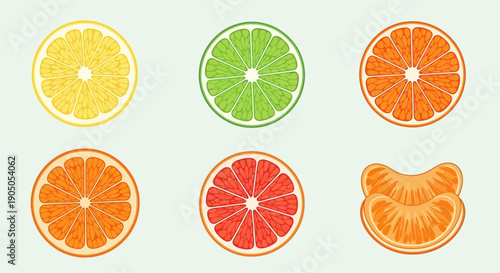 Assorted Citrus Fruits Slices Top View.