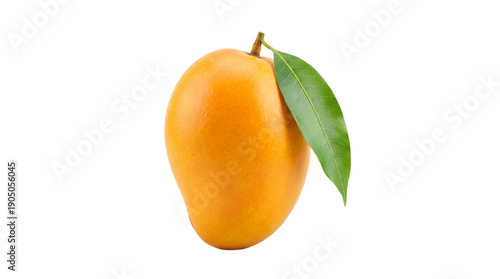 Vibrant yellow mango with a single green leaf fresh and ripe.