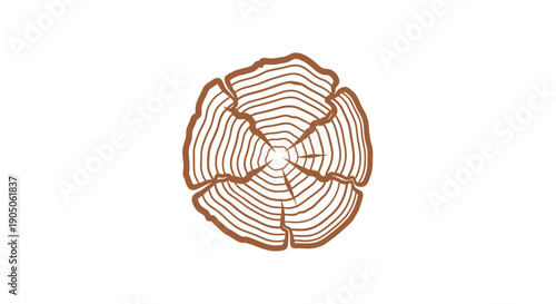Close-up illustration of a tree trunk cross section showing growth rings.