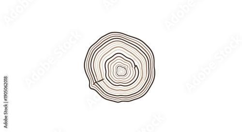 Detailed cross section of a tree trunk showing growth rings and natural wood texture.