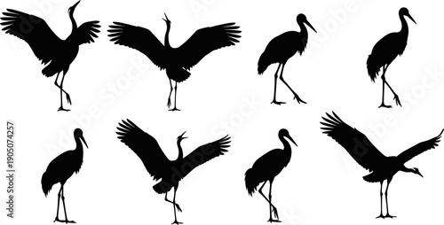 Crane bird silhouette vector set showing standing flying and wing spread poses wildlife illustration isolated on white background for nature design use