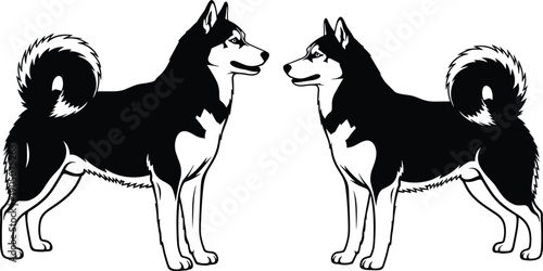 Two Shiba Inu dog silhouettes facing each other, symmetrical canine illustration symbolizing loyalty, companionship, and balance, isolated on white background for pet, design, and branding concepts