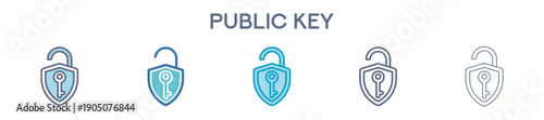 Public Key Icon Set - Blockchain Encryption And Cryptocurrency Security Access 