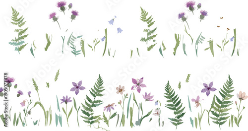 Set of watercolor wildflower elements with purple thistles, blue bellflowers, green ferns, meadow grass, and summer blossoms isolated on white background for botanical design.
