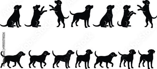 Professional smiling Caucasian businesswoman working on laptop in modern bright office interior with city view, female entrepreneur analyzing financial data charts during corporate meeting.