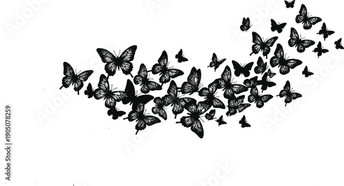 Large collection of black butterfly silhouettes in various sizes and flight positions creating a decorative swarm isolated on white background for nature design.