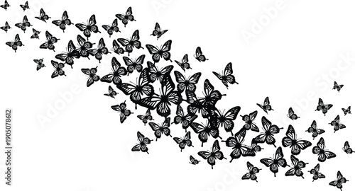 Beautiful Silhouette of Swarm of Butterflies Flying in Wave Pattern Isolated on White Background for Decorative Spring Nature Design and Elegant Invitation Artwork Concept