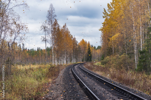 Railway line in the forest.
