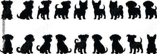 Collection of Cute Puppy Silhouettes and Dog Breed Icons Featuring Small Terriers Puppies and Pedigree Pets in Black Vector Shapes Isolated on White Background