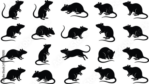 Black rat and mouse silhouette collection set of various poses including standing walking running sitting and jumping isolated icons for vector graphic design projects.