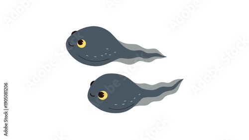 Two cute tadpoles swimming together vector illustration
