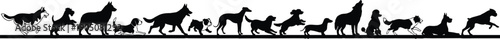 Large collection of black dog breed silhouettes in various poses including running jumping and standing isolated on white background for animal pet design projects.