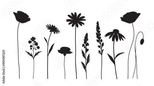 Wildflowers Silhouette Collection in Simple Black and Illustration for Floral Design isolated on a transparent background