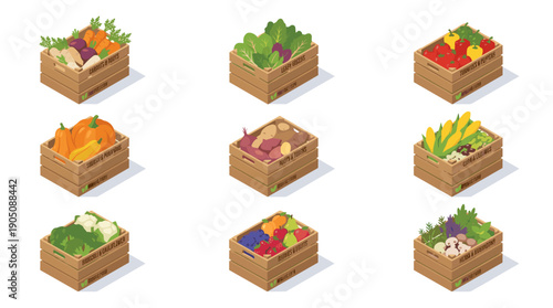 Isometric vector icon set of organic farm fresh vegetables and fruits in wooden crates. Features carrots, leafy greens, tomatoes, peppers, squash, pumpkins, potatoes, corn, berries, and mushrooms.