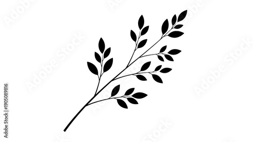 Black silhouetted branch with leaves in minimalist style on for graphic design isolated on a transparent background