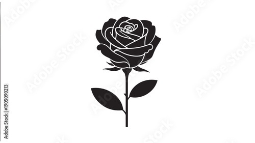 Black rose illustration in minimalist style with line art on plain for greeting card isolated on a transparent background