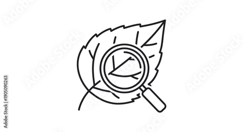 Magnifying glass over leaf veins, illustration of nature research and biology