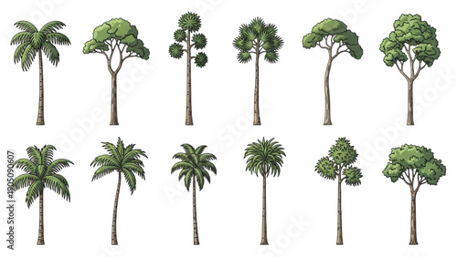 Collection of Diverse Tropical and Temperate Trees Isolated on White Background