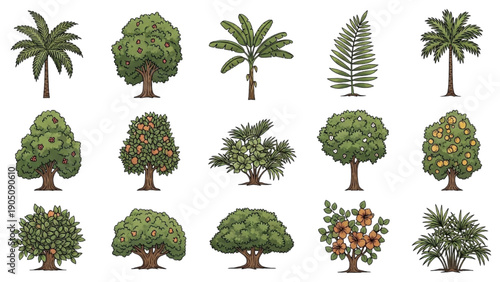 Collection of various types of trees, foliage, and plants