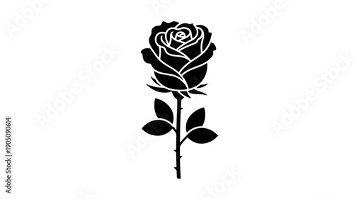 Black rose illustration in minimalist style with outline on plain for tattoo design isolated on a transparent background