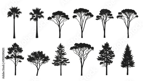 Various Types of Trees Silhouettes Isolated on White Background