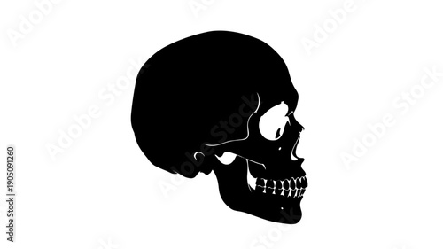 Human Skull Silhouette in Dark Moody Lighting on for Halloween Design isolated on a transparent background
