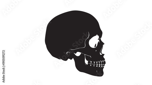 Human Skull Silhouette in Dark Tone on for Medical Illustration isolated on a transparent background