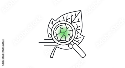 Magnifying glass on leaf, science research, biology, nature study icon