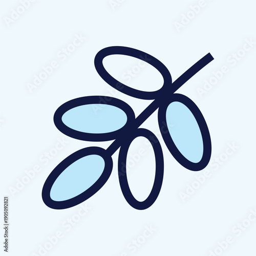 Branch of Dates Fruit Kurma for Sunnah Iftar Breaking Fast