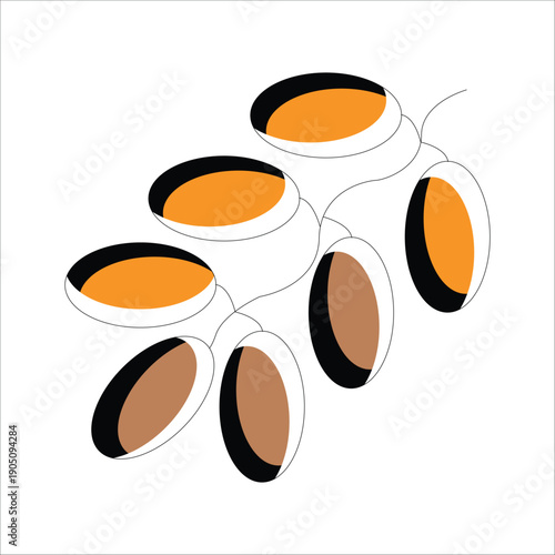 Dates Fruit Branch for Iftar Breaking Fast Illustration