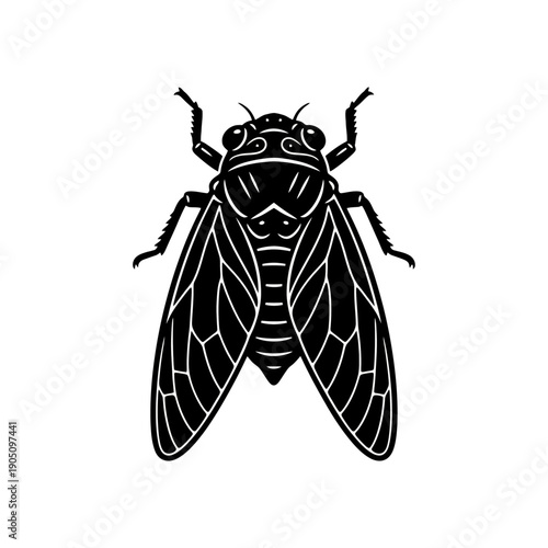 Vector illustration showing a black wasp and a fly with detailed wings, isolated on a white background