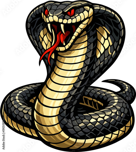 king cobra vector illustration