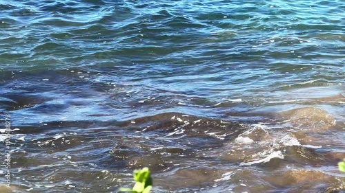 Maui's black stone rocky coastline that drops into crystal clear turquoise waters where green sea turtles can be seen