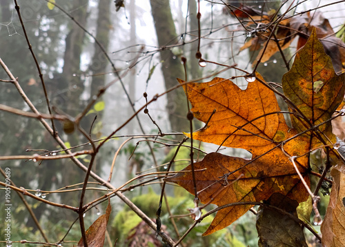 Canvastavla Drippy winter forest