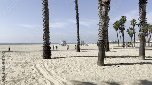 Santa Monica Beach through palm tree trunks on sunny day