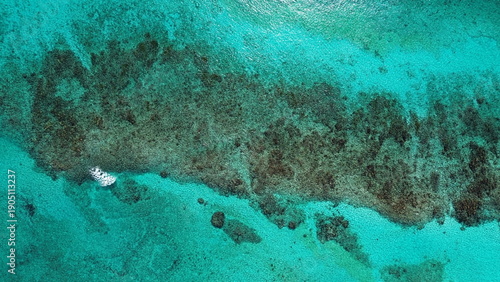 Vista aérea de playa tropical y costa caribeña en la Riviera Maya México drone de Playa del Carmen y el mar Caribe mar turquesa