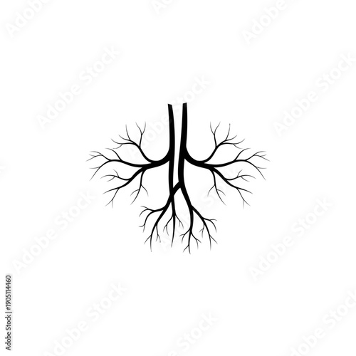 Abstract branching tree roots or veins pattern.