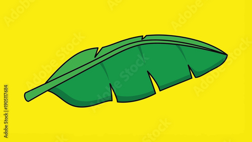 Green Banana Leaf Illustration on Yellow Background.
