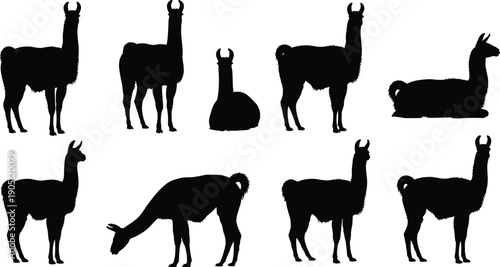 Vector, black, silhouette, illustration, set, of, various, llamas, and, alpacas, in, standing, sitting, and, grazing, positions, for, nature, wildlife, livestock, and, farm, animal, design, elements