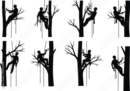 Arborist silhouettes pruning trees with saws and shears, professional tree climbers using ropes and safety equipment for forest maintenance and landscaping service vector illustration
