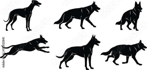Black dog silhouettes collection, German Shepherd and Greyhound breeds in running and standing poses, vector set for pet services and animal designs,