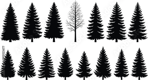 Collection of black pine tree silhouettes, spruce and fir timber forest elements, evergreen coniferous plants set isolated on white background for nature landscape, vector