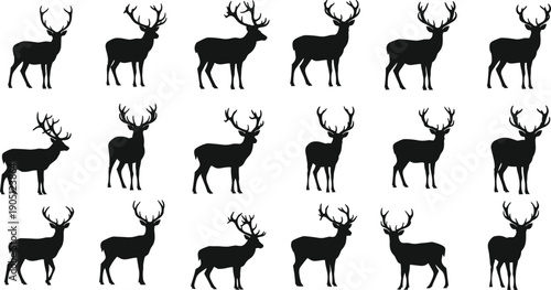Collection of buck deer and stag silhouettes with large antlers, wild forest reindeer standing set for hunting logos, nature wildlife vector illustration designs,