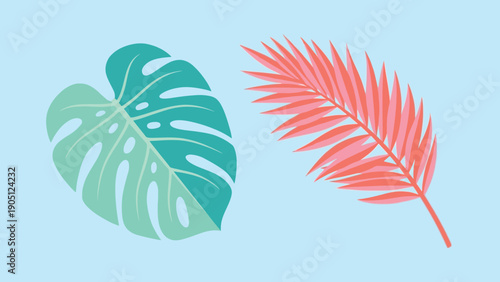 Two tropical leaves monstera and palm leaf illustration.