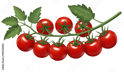 A vibrant illustration of a tomato vine with ripe red tomatoes and green leaves
