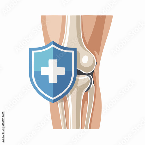 knee joint illustration with protective medical shield symbolizing orthopedic care, joint support, and modern health treatment