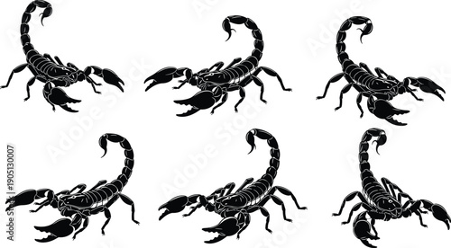 Detailed scorpion silhouette collection illustration showing multiple poses, black venomous arachnid vector set isolated on white background for wildlife, tattoo, symbol, and nature design themes