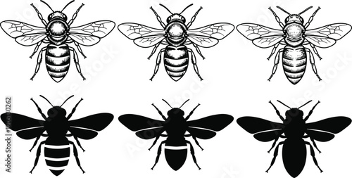Collection of honey bee icons and silhouettes, vintage hand drawn insects and black bee symbols for nature organic honey logo design elements,